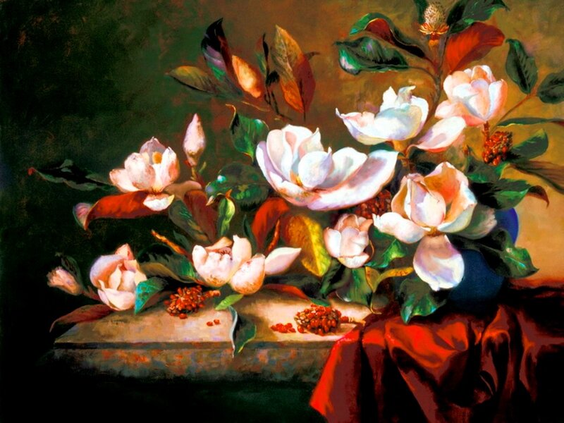 White Magnolia Flowers — Dramatic