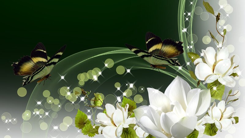 White Magnolia Flowers — Serene, Digital Art