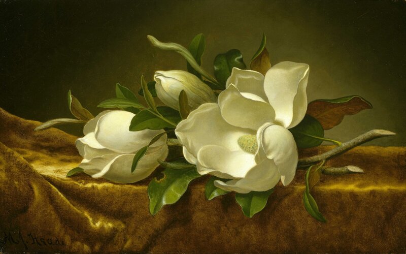 White Magnolia Flowers — Serene, Painting, Leaves, Branch
