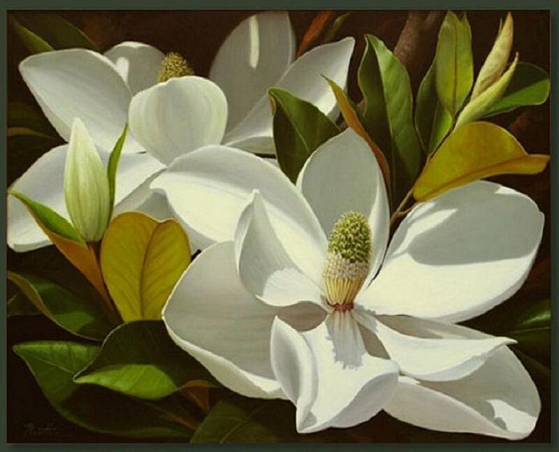 White Magnolia Flowers — Serene, Painting, Leaves