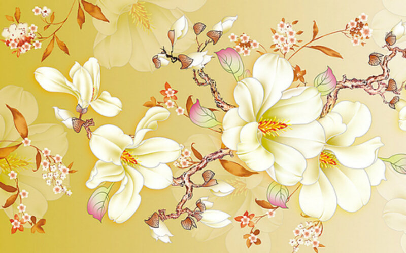White Magnolia Flowers — Yellow