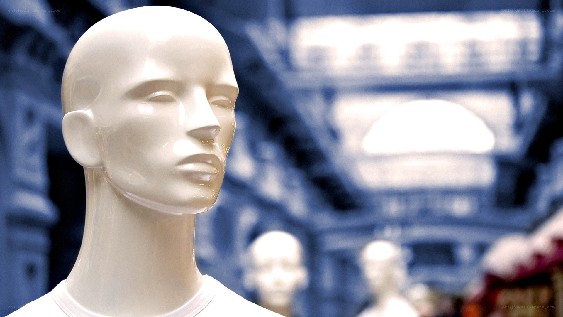 white mannequin head in display