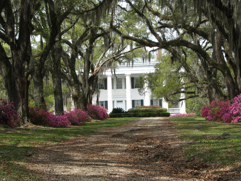 White Mansion with Azaleas