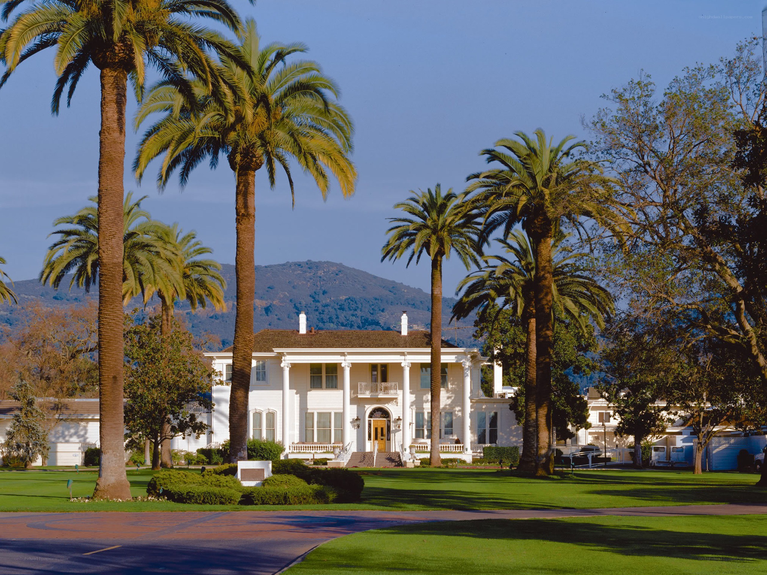 White mansion with palm trees