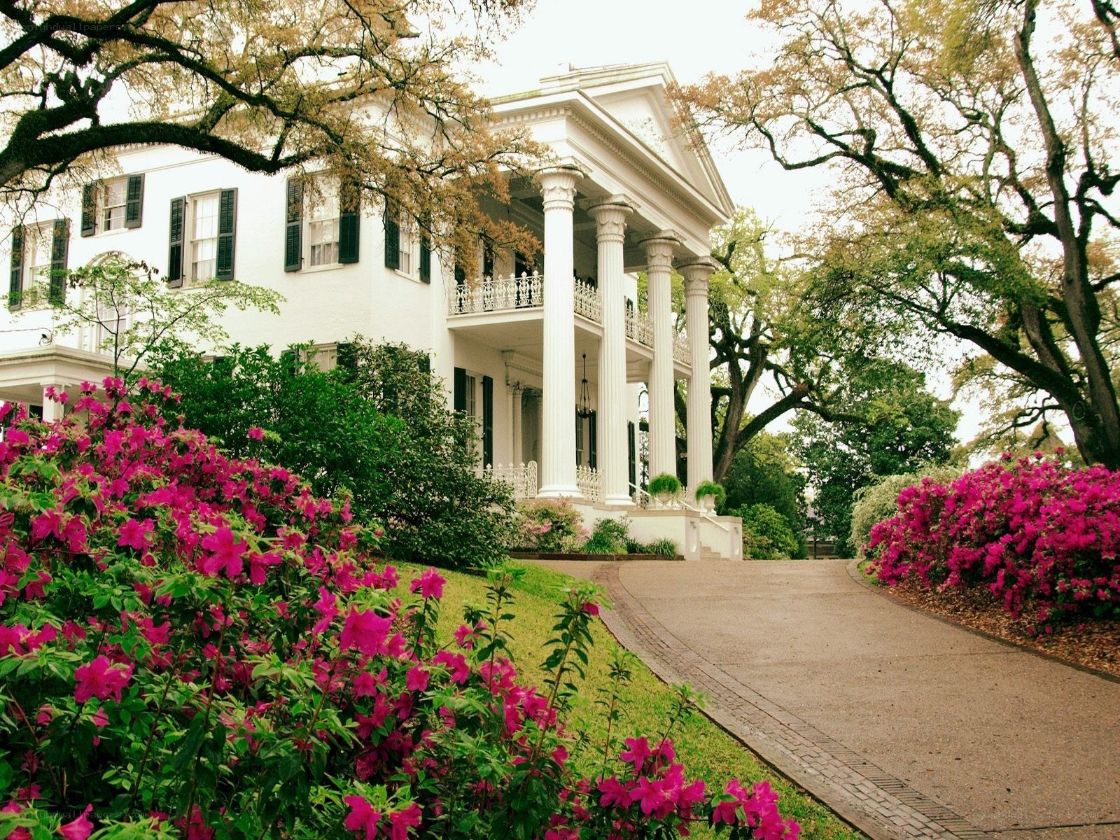 White mansion with pink flowers