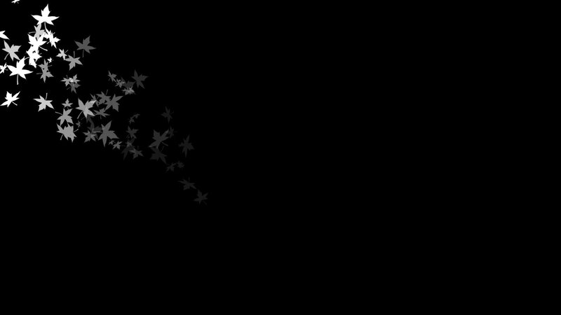 White Maple Leaves — Black