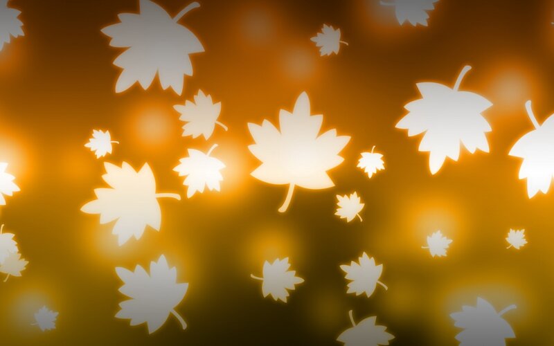 White Maple Leaves — Orange
