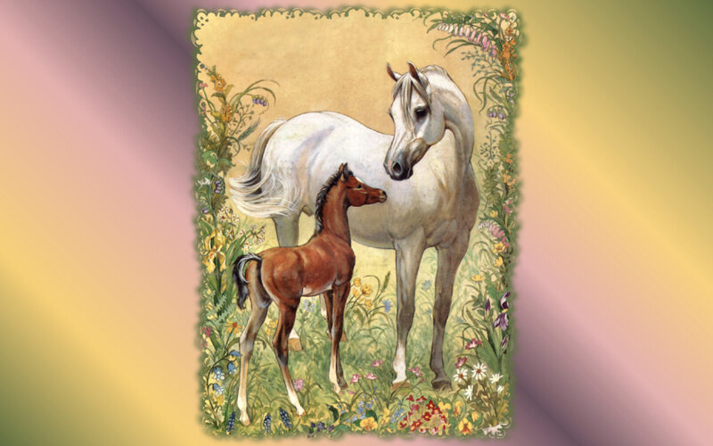 White Mare and Foal — Green, Serene, Spring