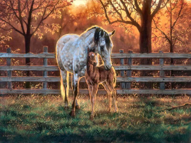 White Mare and Foal — Orange