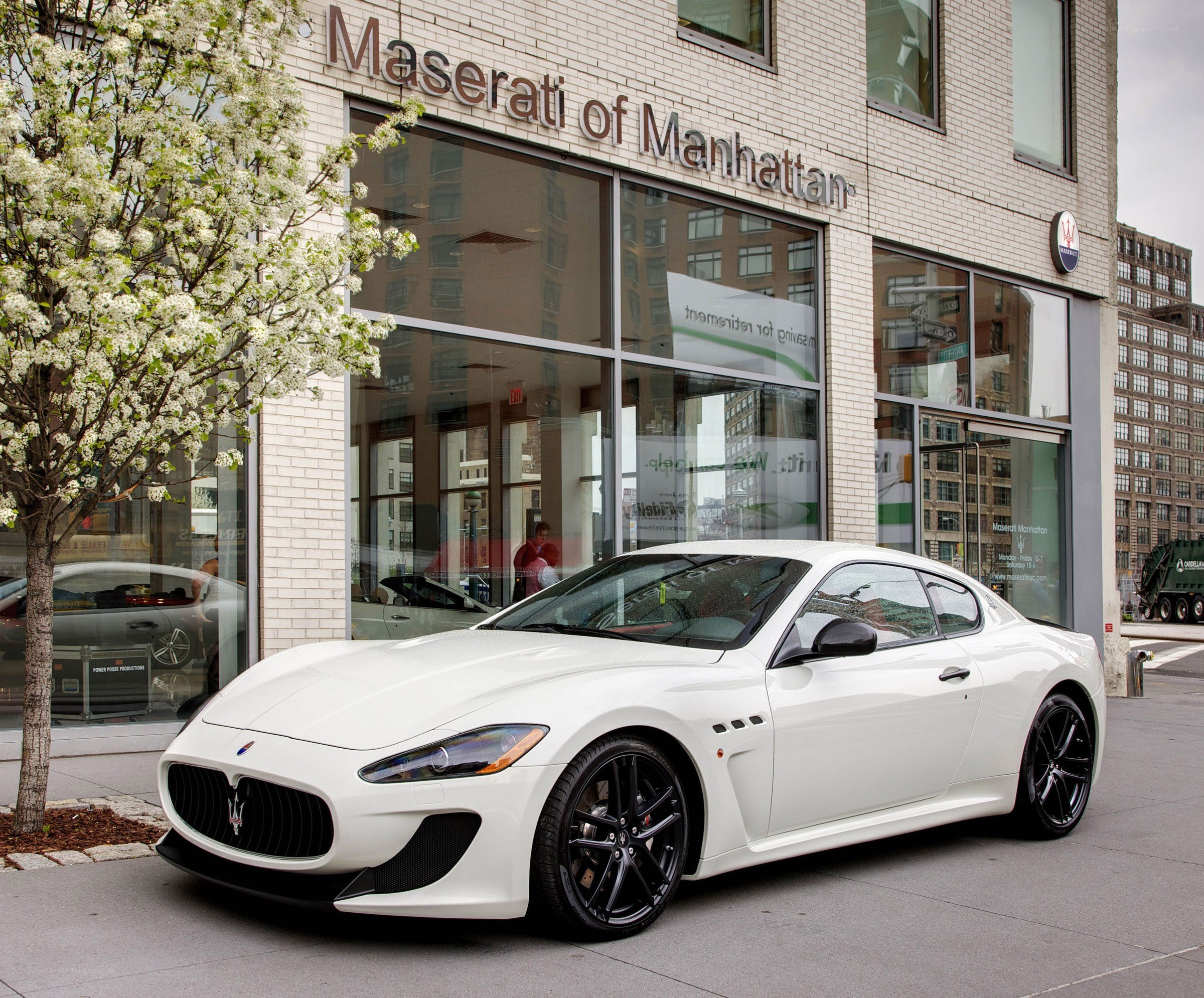 White Maserati at dealership