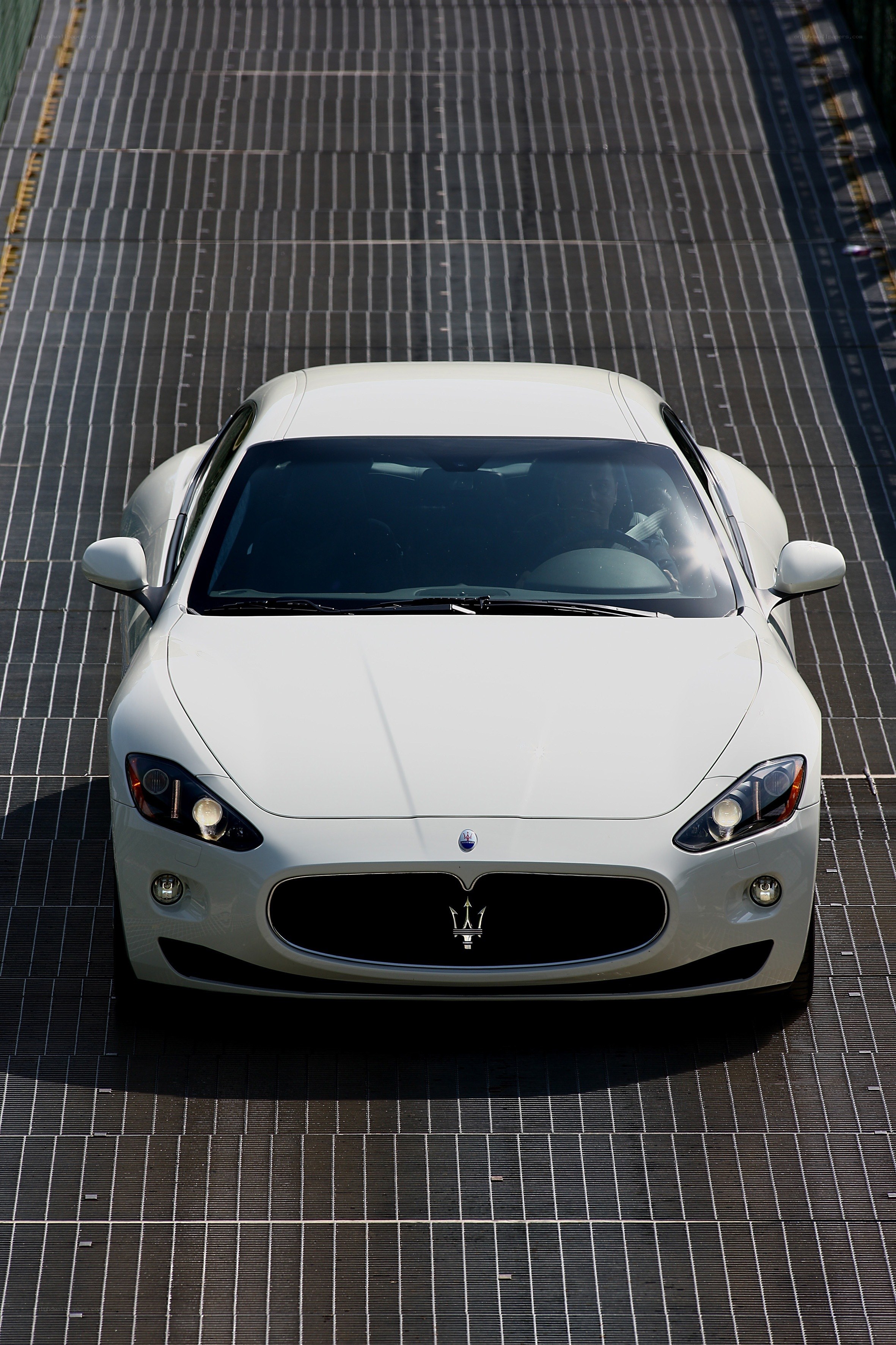 White Maserati on a grid