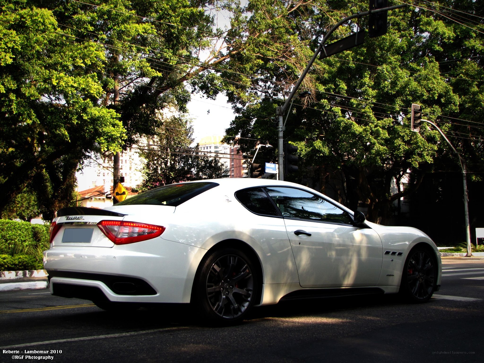 White Maserati on a tree-lined street