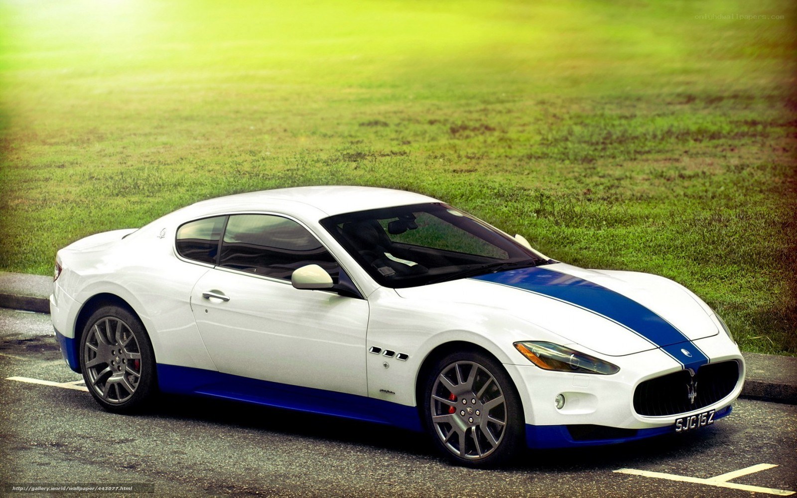 White Maserati with blue stripes