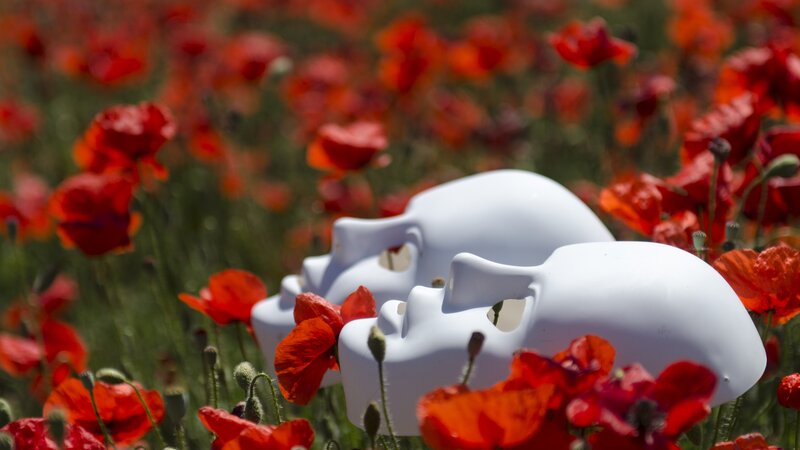 White Masks in Poppy Field — Red