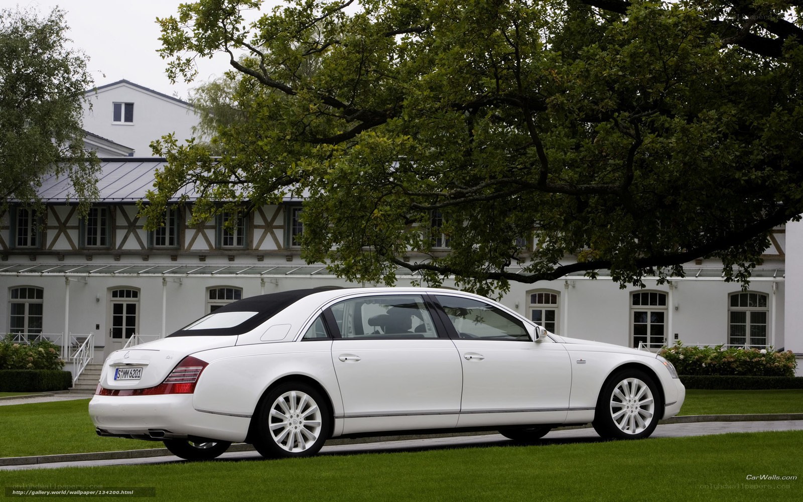 white maybach luxury car