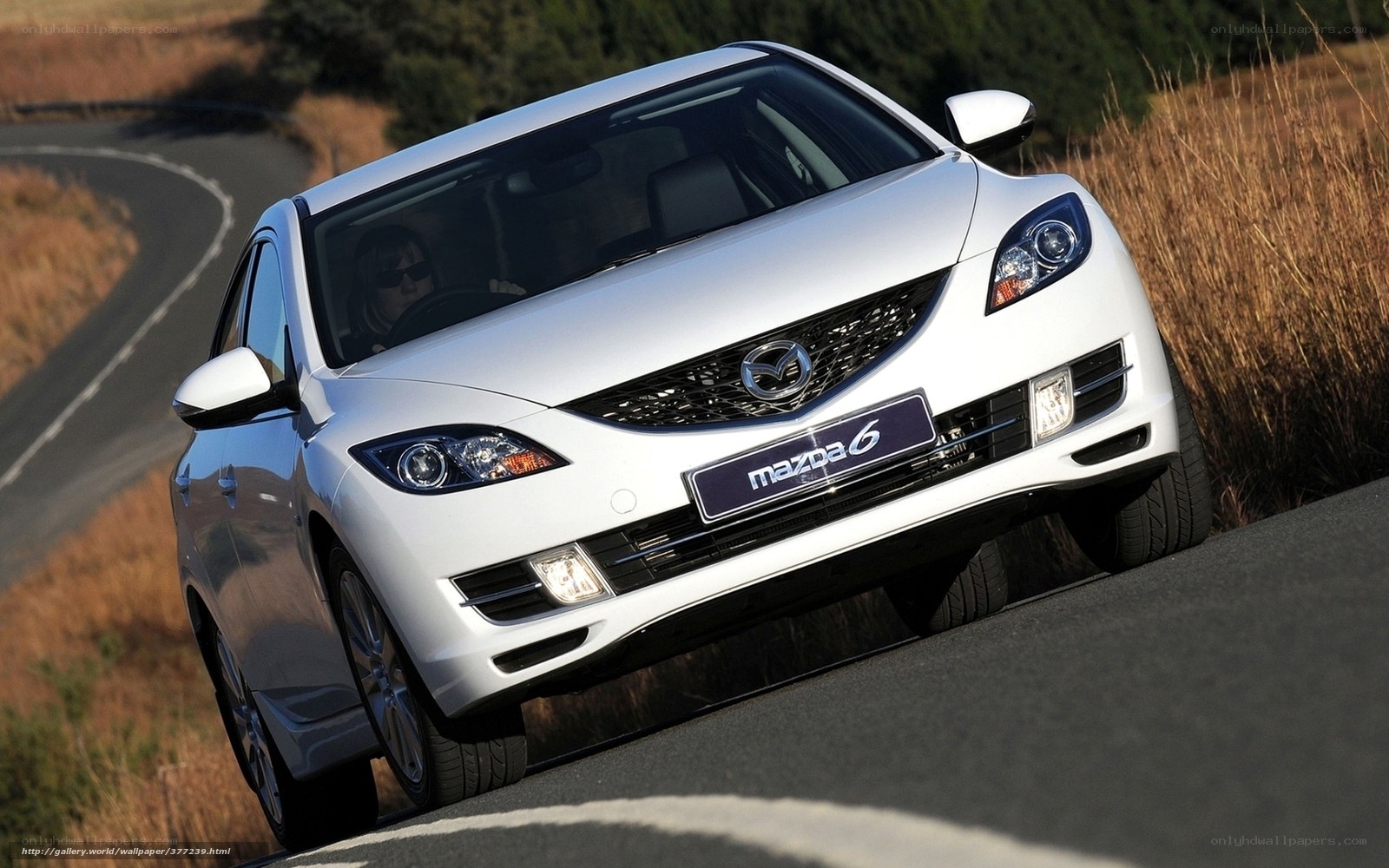 White Mazda 6 on winding road