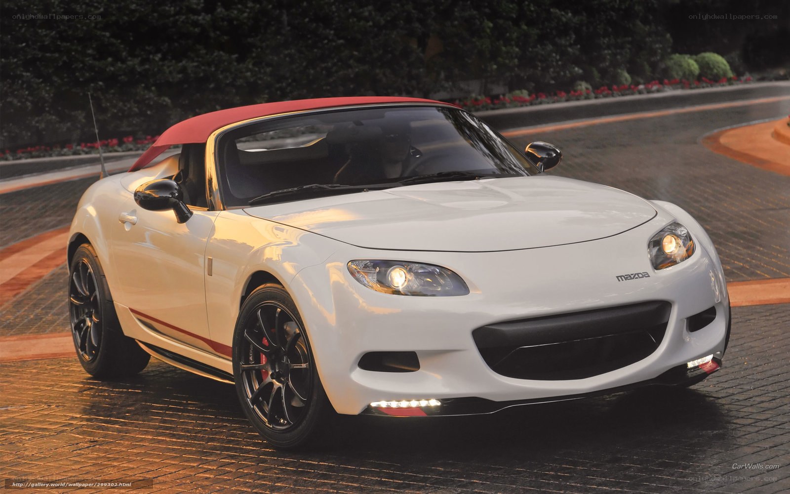 White Mazda MX-5 with red top