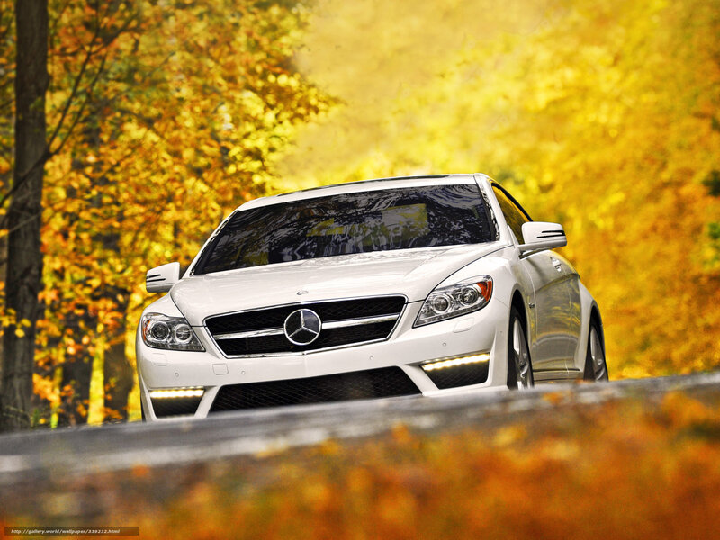 White Mercedes-benz Car — Serene, Autumn, Photograph