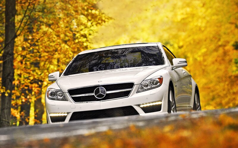 White Mercedes-benz Car — Serene, Autumn, Photograph, Trees