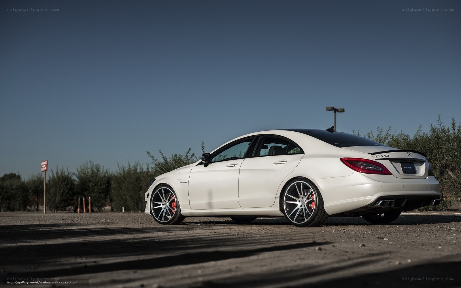 white mercedes-benz cls63