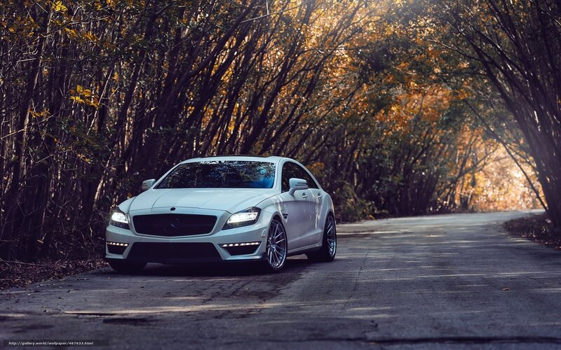 White Mercedes-benz Coupe — Dramatic, Autumn
