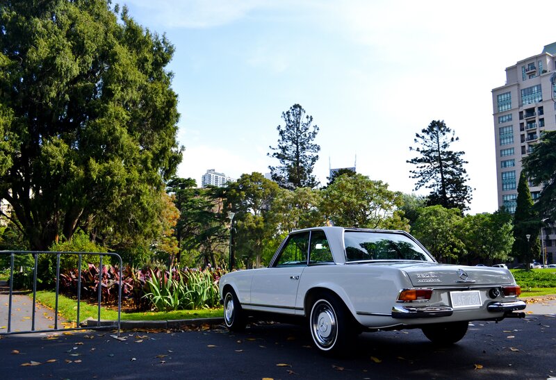 White Mercedes-Benz in a park