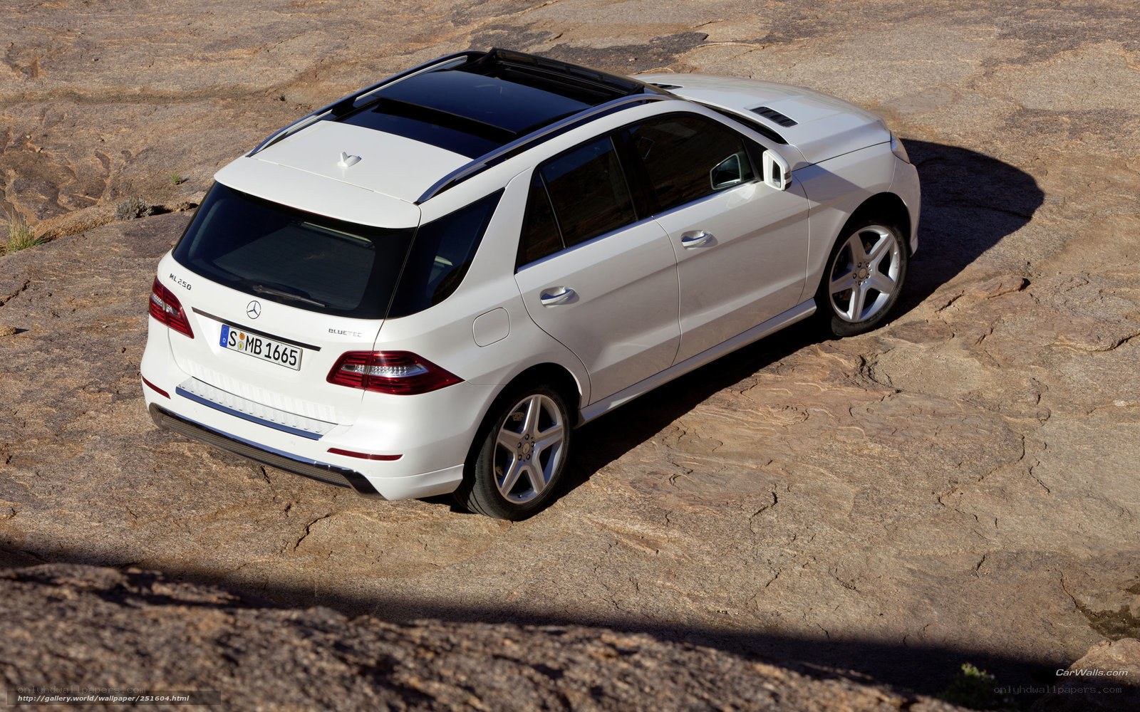 White Mercedes-Benz ML 250 on rocky terrain