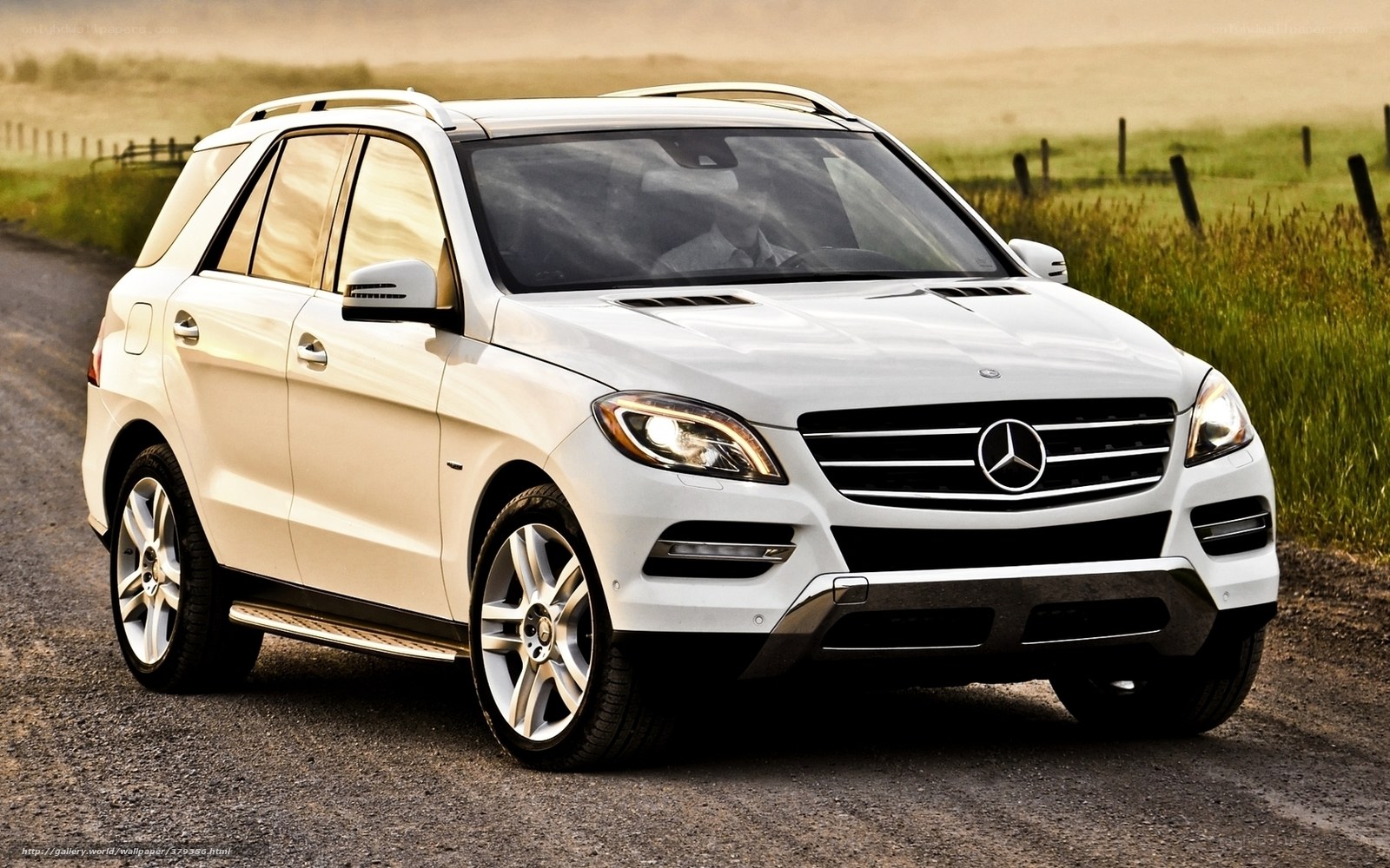 White Mercedes-Benz SUV on country road