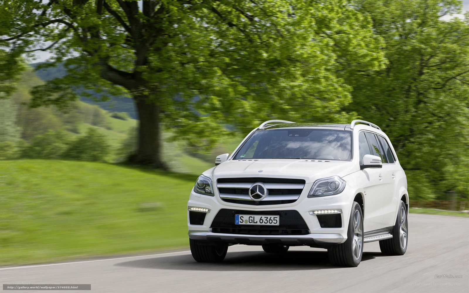White Mercedes-Benz SUV on country road