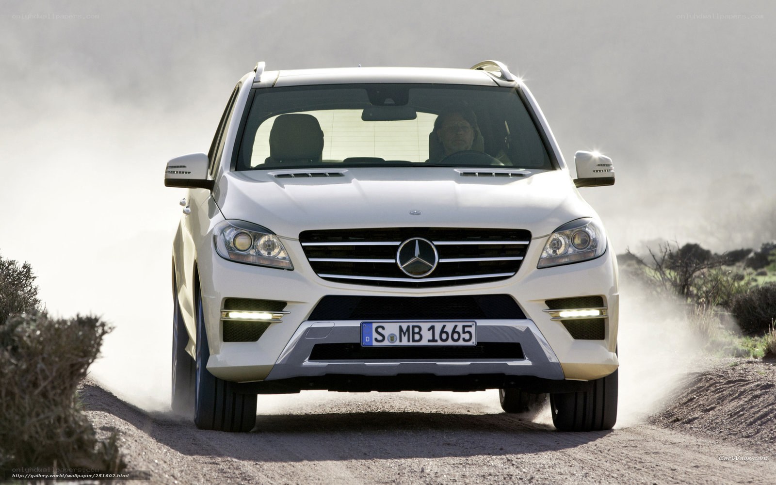 White Mercedes-Benz SUV on dirt road