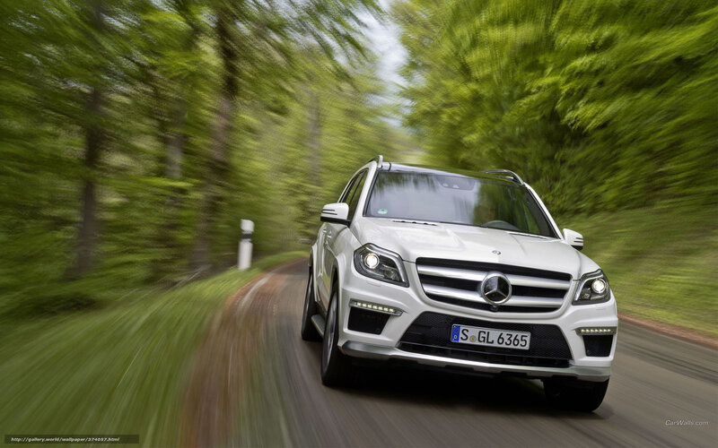 White Mercedes-Benz SUV on forest road