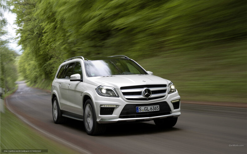 White Mercedes-Benz SUV on road