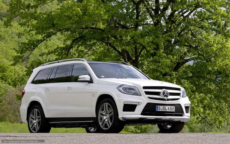 White Mercedes-benz Suv — Serene, Summer, Photograph, Trees, Road