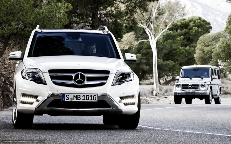 White Mercedes-Benz SUVs on a road