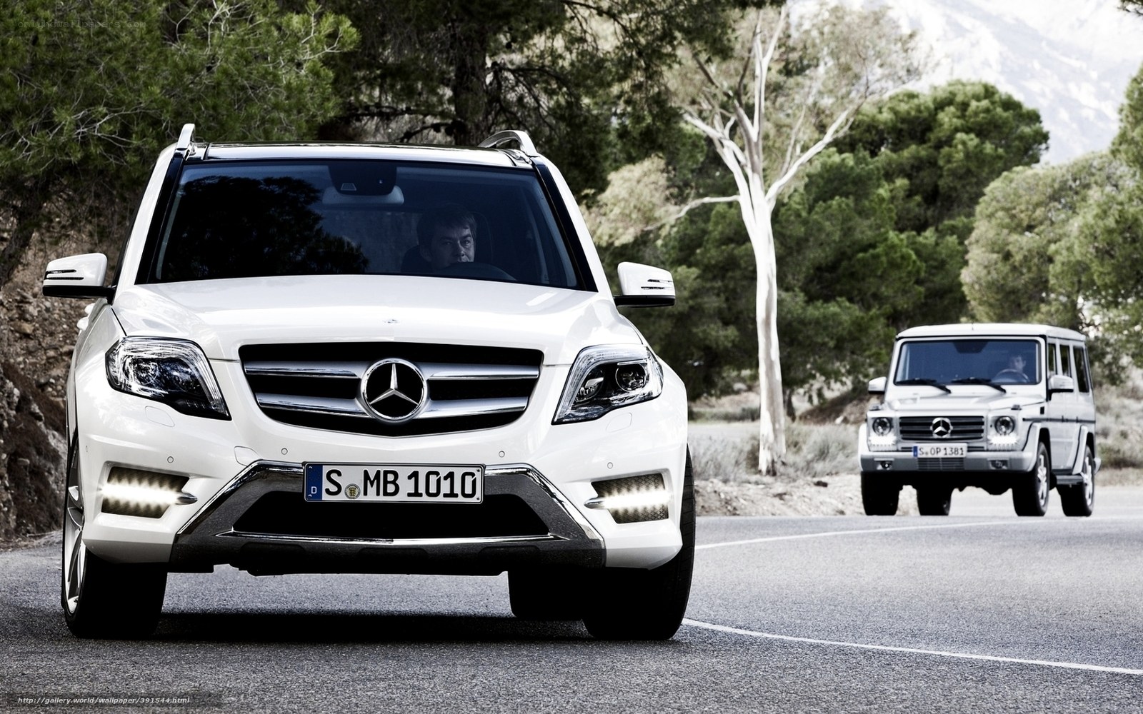White Mercedes-Benz SUVs on a road