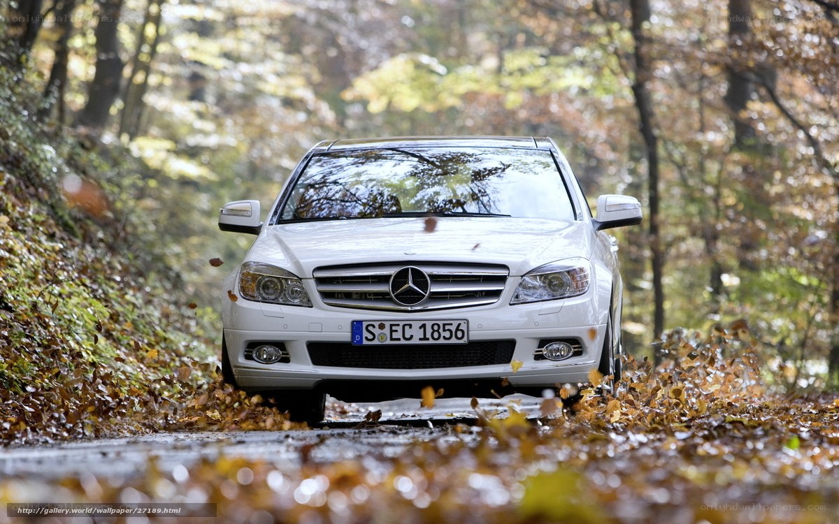 White Mercedes in autumn forest