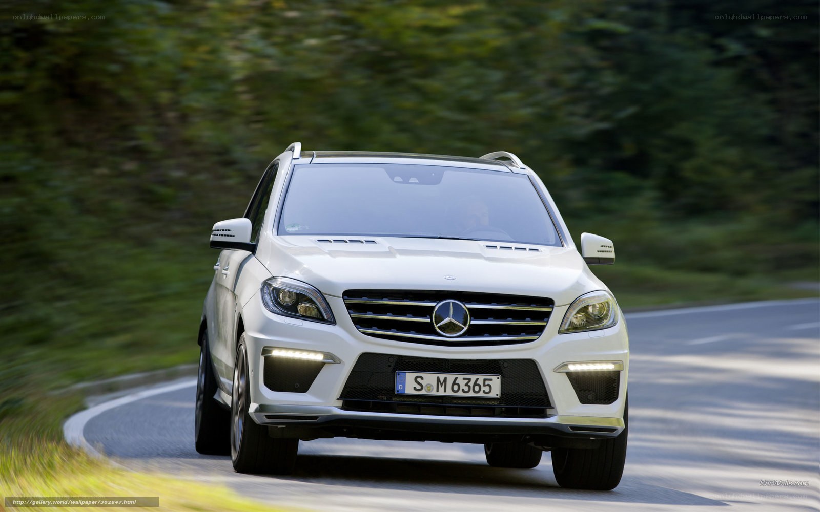 white mercedes suv on road