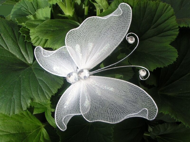 White Mesh Butterfly