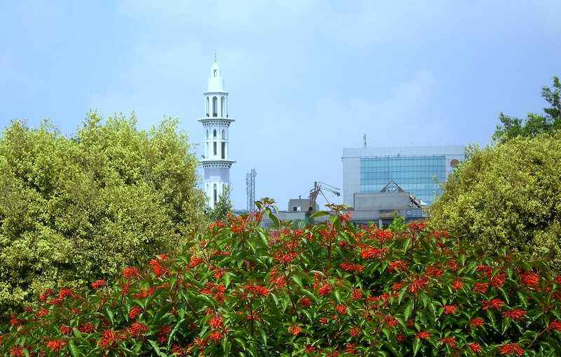 White Minaret with Flowers