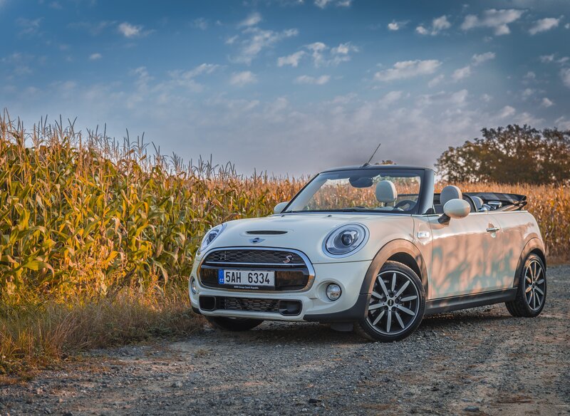 White MINI Convertible in Cornfield