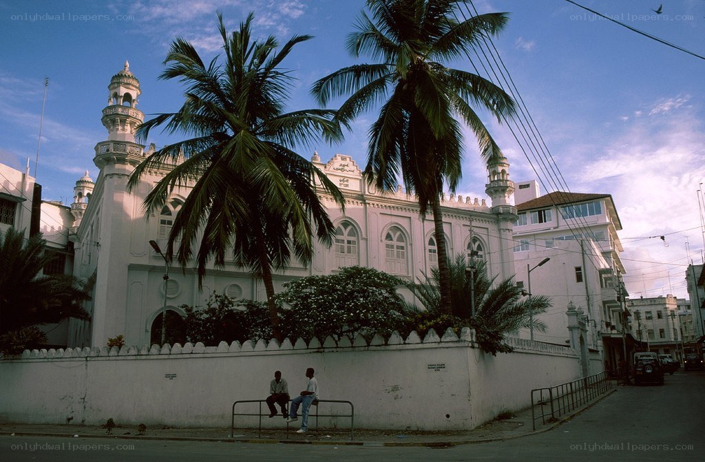 White mosque with palm trees
