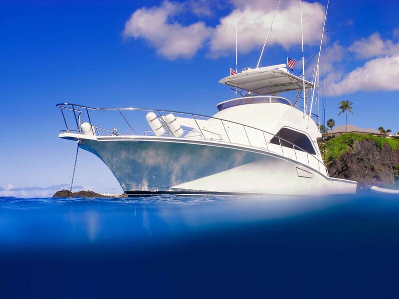 White Motor Yacht — Blue, Serene, Afternoon