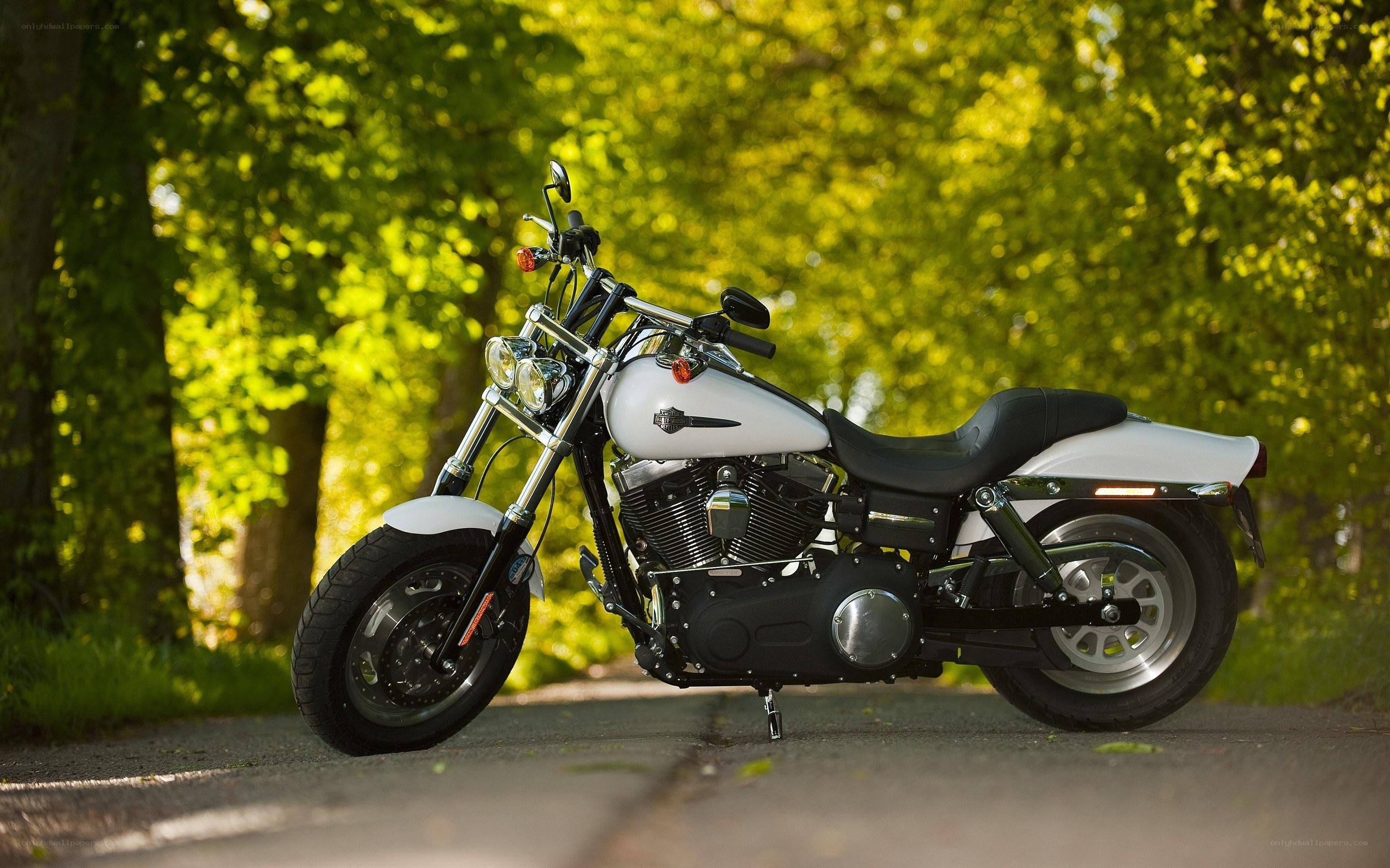White motorcycle on a forest path