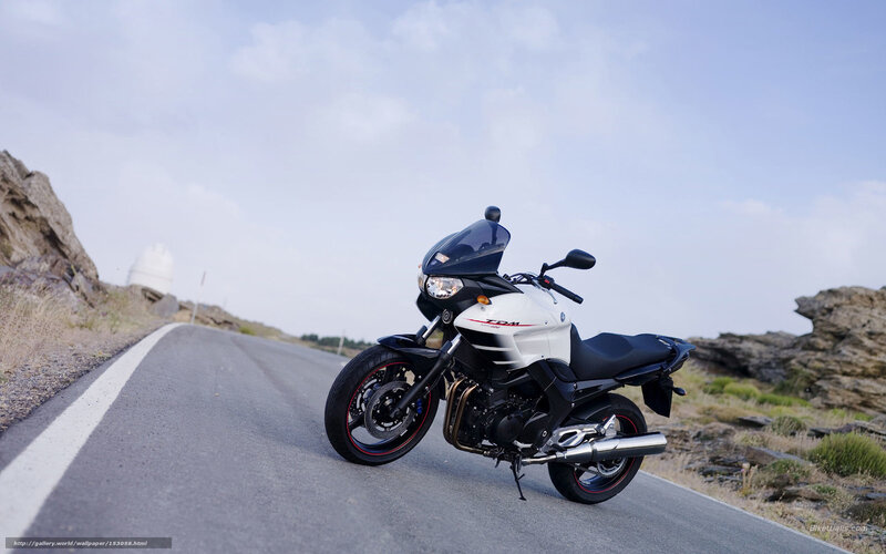 White Motorcycle on Road — Serene