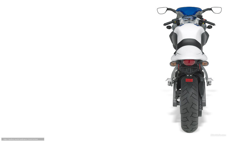 white motorcycle rear view