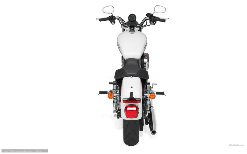 White Motorcycle Rear View — Neutral, Photograph, Handlebars, Seat