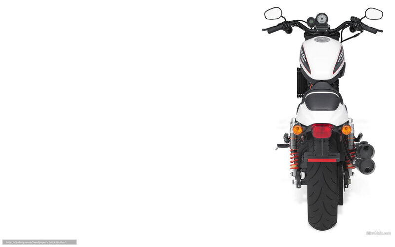 White Motorcycle Rear View — Neutral, Photograph, Handlebars
