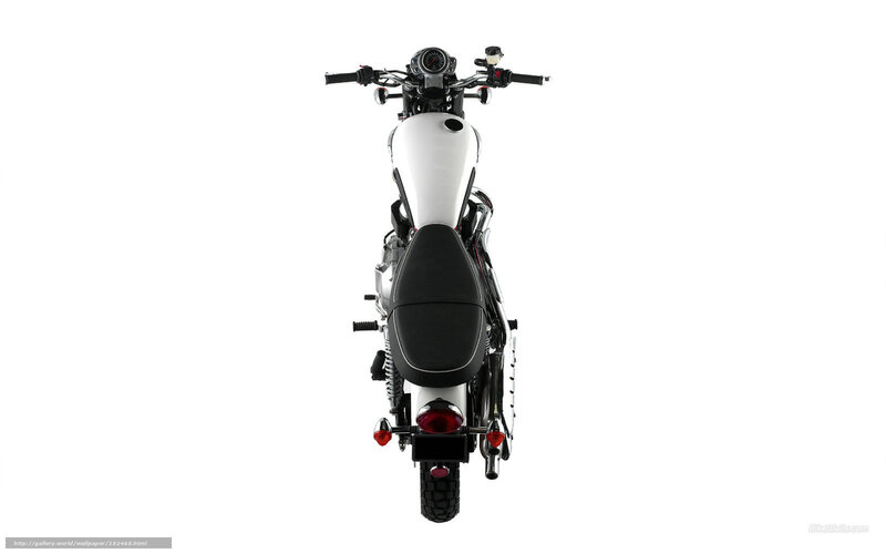 White Motorcycle Rear View — Neutral, Photograph, Seat