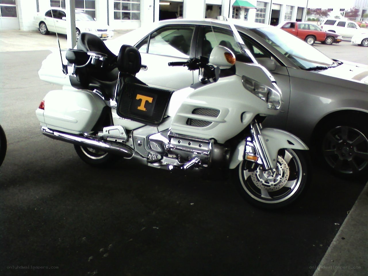 White motorcycle with Tennessee logo