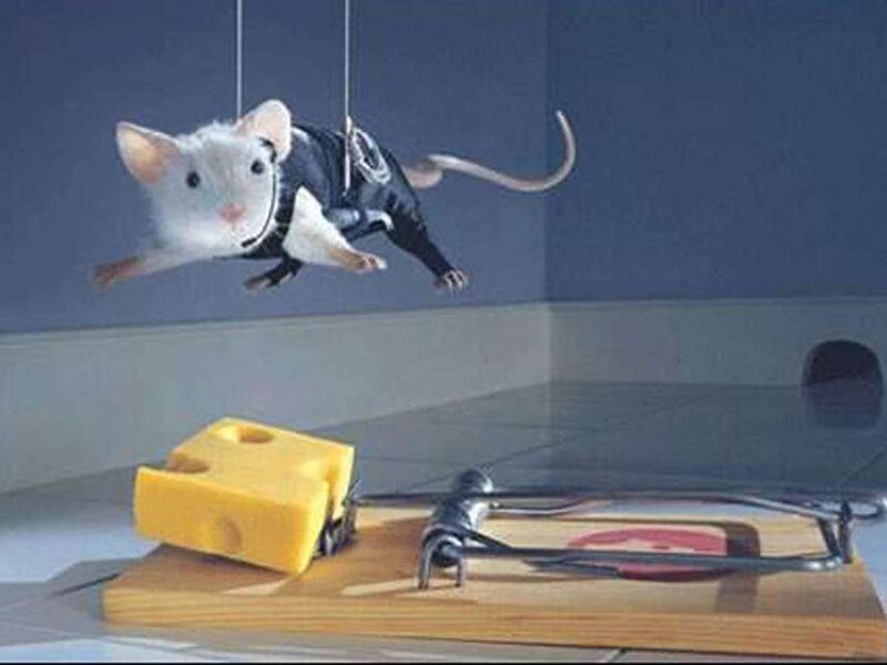 White Mouse in Harness